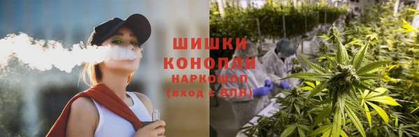 сатива Бронницы