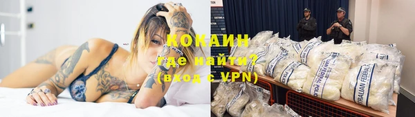 сатива Бронницы