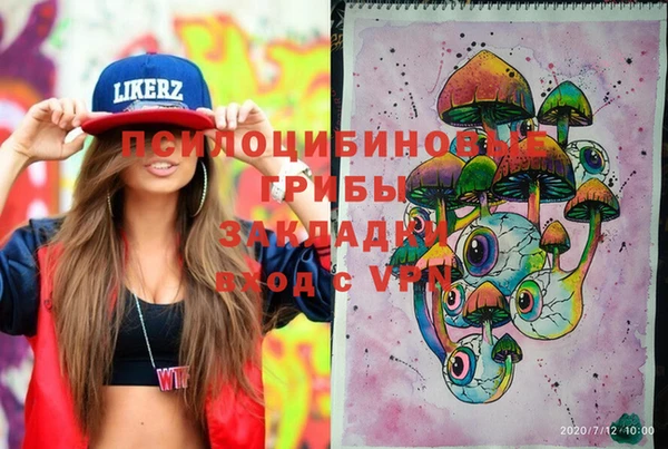 сатива Бронницы