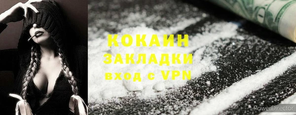 сатива Бронницы