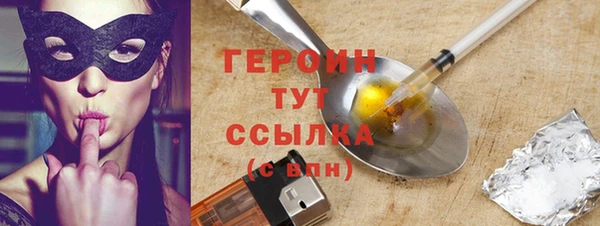 spice Богородицк
