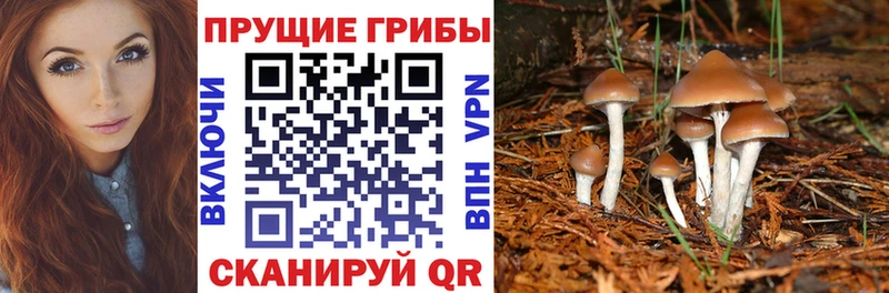 Псилоцибиновые грибы мицелий  Минусинск 